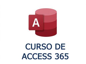 CURSO COMPLETO ACCESS C1 Y C2 (Acceso 1 año)